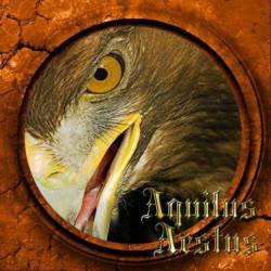 Aquilus Aestus